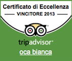 Trip Advisor